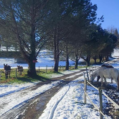 Domaine Le Lanis "Cabane De Pauline" Saint-Girons  Eksteriør billede