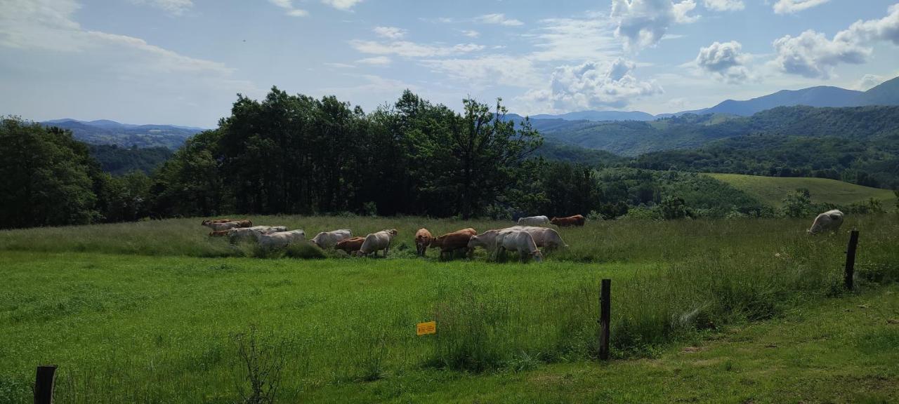 Domaine Le Lanis "Cabane De Pauline" Saint-Girons  Eksteriør billede