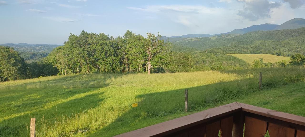 Domaine Le Lanis "Cabane De Pauline" Saint-Girons  Eksteriør billede