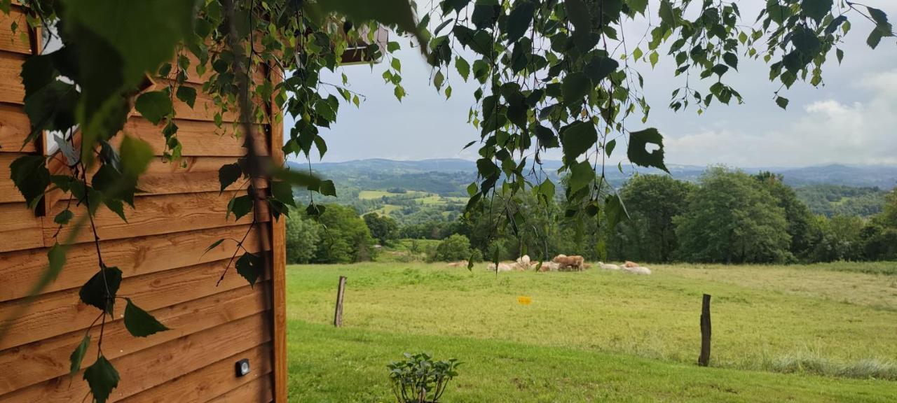 Domaine Le Lanis "Cabane De Pauline" Saint-Girons  Eksteriør billede