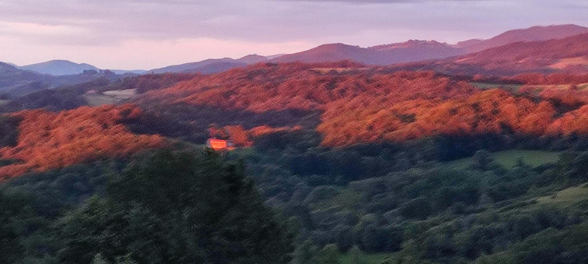 Domaine Le Lanis "Cabane De Pauline" Saint-Girons  Eksteriør billede