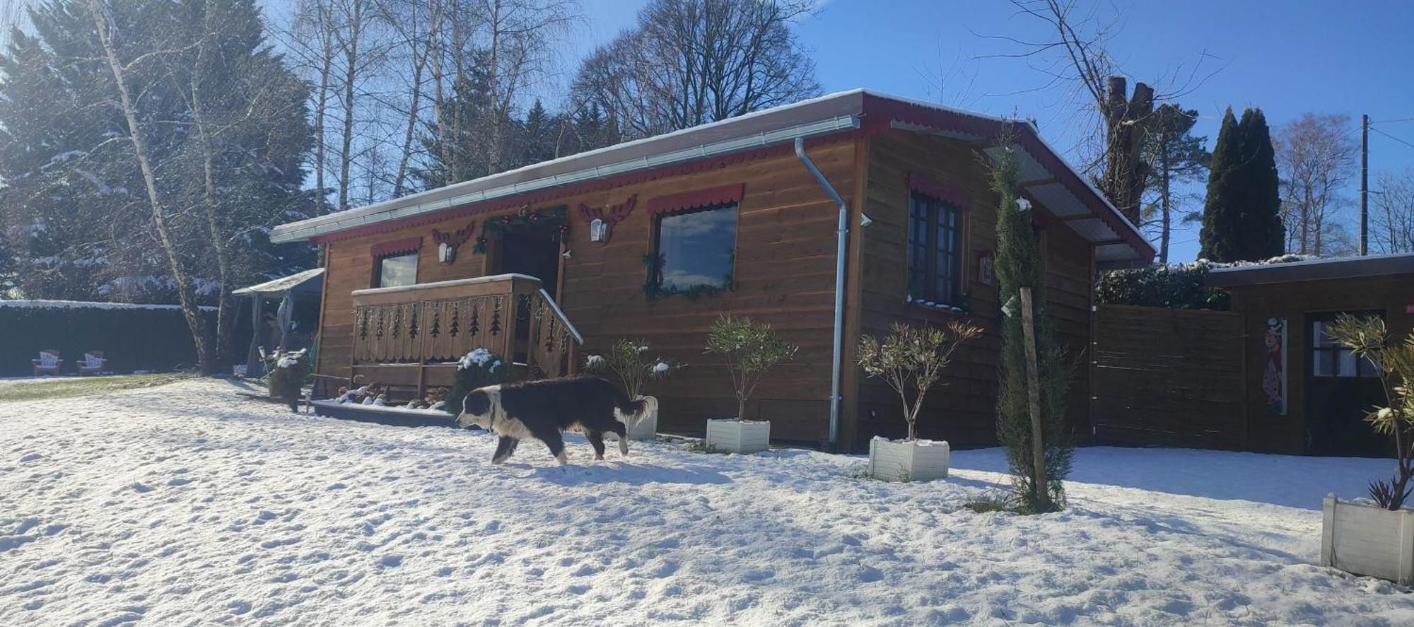 Domaine Le Lanis "Cabane De Pauline" Saint-Girons  Eksteriør billede