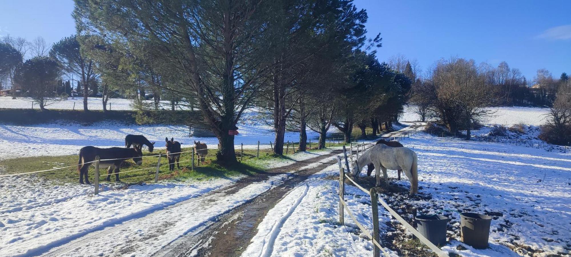 Domaine Le Lanis "Cabane De Pauline" Saint-Girons  Eksteriør billede