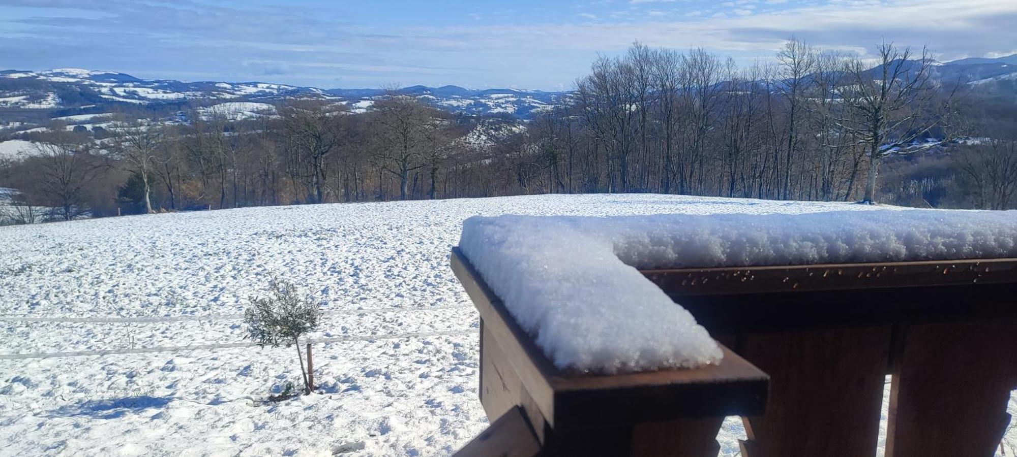 Domaine Le Lanis "Cabane De Pauline" Saint-Girons  Eksteriør billede
